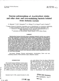 Enzyme Polymorphism of Azorhizobium Strains and Other Stem- and Root-Nodulating Bacteria Isolated from Sesbanìa Rostrata