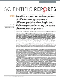 Sensillar Expression and Responses of Olfactory Receptors Reveal Different Peripheral Coding in Two Helicoverpa Species Using the Same Pheromone Components
