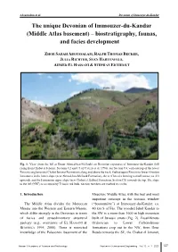 The Unique Devonian of Immouzer-Du-Kandar (Middle Atlas Basement) – Biostratigraphy, Faunas, and Facies Development