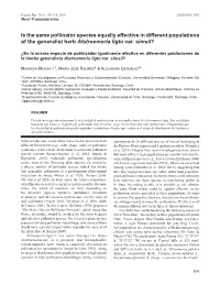 Is the Same Pollinator Species Equally Effective in Different Populations of the Generalist Herb Alstroemeria Ligtu Var