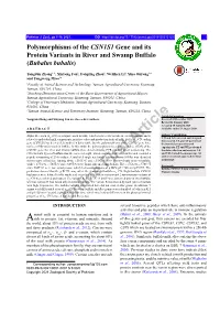 Polymorphisms of the CSN1S1 Gene and Its Protein Variants in River and Swamp Buffalo (Bubalus Bubalis)
