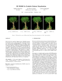 3D ROAM for Scalable Volume Visualization