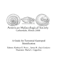 A Guide for Terrestrial Gastropod Identification