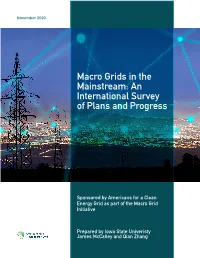 Macro Grids in the Mainstream: an International Survey of Plans and Progress