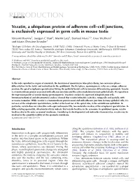 Vezatin, a Ubiquitous Protein of Adherens Cell–Cell Junctions, Is Exclusively Expressed in Germ Cells in Mouse Testis