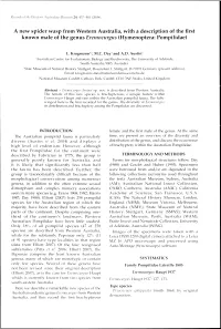 Adec Preview Generated PDF File