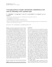 Converging Patterns of Uptake and Hydraulic Redistribution of Soil Water in Contrasting Woody Vegetation Types