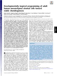 Developmentally Inspired Programming of Adult Human Mesenchymal Stromal Cells Toward Stable Chondrogenesis