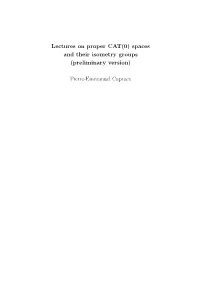 Lectures on Proper CAT(0) Spaces and Their Isometry Groups (Preliminary Version)