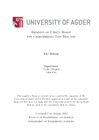Tore Meberg.Pdf (14.85Mb)