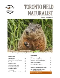 2013-05-TFN-Newsletter.Pdf