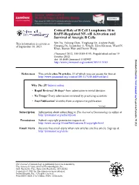 Survival of Anergic B Cells B Activation and Κ BAFF-Regulated NF