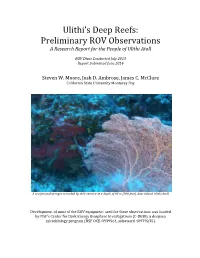 Ulithi's Deep Reefs: Preliminary ROV Observations Report