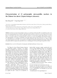 Characterization of 12 Polymorphic Microsatellite Markers in the Chinese Tree Shrew (Tupaia Belangeri Chinensis)