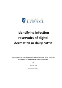 Identifying Infection Reservoirs of Digital Dermatitis in Dairy Cattle