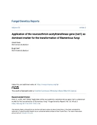 (Nat1) As Dominant Marker for the Transformation of Filamentous Fungi