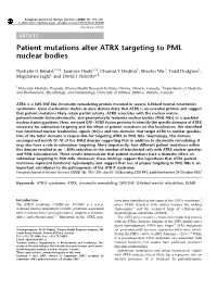 Patient Mutations Alter ATRX Targeting to PML Nuclear Bodies