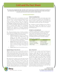 Cold and Flu Fact Sheet