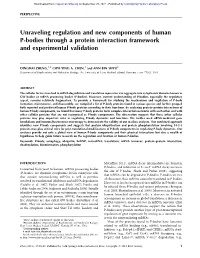 Unraveling Regulation and New Components of Human P-Bodies Through a Protein Interaction Framework and Experimental Validation