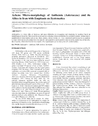 Achene Micro-Morphology of Anthemis (Asteraceae) and Its Allies in Iran with Emphasis on Systematics