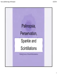 Palinopsia, Perservation, Sparkle and Scintillations