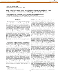 “Viili” on the Adhesion of Probiotics and Pathogens to Intestinal Mucus