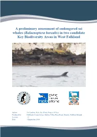A Preliminary Assessment of Endangered Sei Whales ( Balaenoptera Borealis ) in Two Candidate Key Biodiversity Areas in West Falkland
