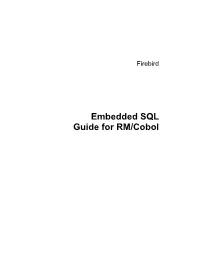 Embedded SQL Guide for RM/Cobol