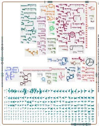 Generate Metabolic Map Poster