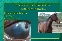 Examination of The
