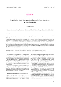 Exploitation of the Mycoparasitic Fungus Pythium Oligandrum in Plant Protection