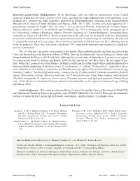 Imantodes Gemmistratus. Endoparasites. to Our Knowledge