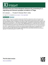 DOCK8 Enforces Immunological Tolerance by Promoting IL-2 Signaling and Immune Synapse Formation in Tregs