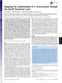 Mapping the Conformation of a Client Protein Through the Hsp70 Functional Cycle