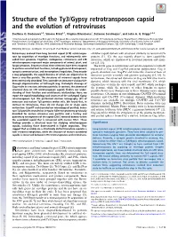 Structure of the Ty3/Gypsy Retrotransposon Capsid and the Evolution of Retroviruses