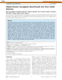 Oldest Known Eucalyptus Macrofossils Are from South America