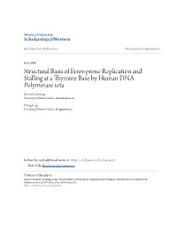 Structural Basis of Error-Prone Replication and Stalling at a Thymine Base by Human DNA Polymerase Iota Kevin N