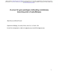 A Screen for Gene Paralogies Delineating Evolutionary Branching Order of Early Metazoa