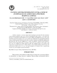 CLONING and TRANSFORMATION of Meca GENE of STAPHYLOCOCCUS AUREUS ISOLATED from HOSPITAL SAMPLES H