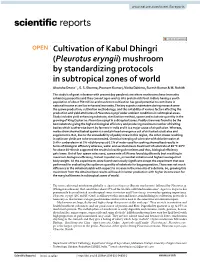 Cultivation of Kabul Dhingri (Pleurotus Eryngii) Mushroom by Standardizing Protocols in Subtropical Zones of World Akansha Deora*, S