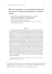 Effects of Endothelin-1 on the Membrane Potential and Slow Waves in Circular Smooth Muscle of Rat Gastric Antrum