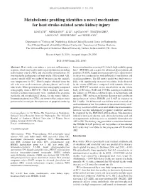 Metabolomic Profiling Identifies a Novel Mechanism for Heat Stroke‑Related Acute Kidney Injury