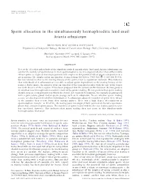 Sperm Allocation in the Simultaneously Hermaphroditic Land Snail Arianta Arbustorum