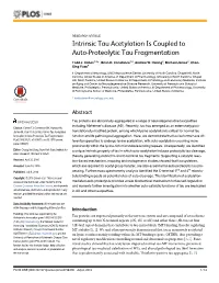 Intrinsic Tau Acetylation Is Coupled to Auto-Proteolytic Tau Fragmentation