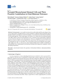 Perinatal Mesenchymal Stromal Cells and Their Possible Contribution to Fetal-Maternal Tolerance