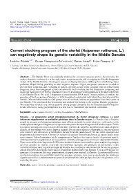 Acipenser Ruthenus, L.) Can Negatively Shape Its Genetic Variability in the Middle Danube