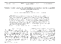 Multi-Scale Analysis of Habitat Association in a Guild of Blennioid Fishes