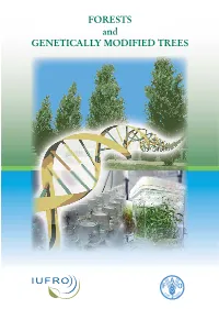 FORESTS and GENETICALLY MODIFIED TREES FORESTS and GENETICALLY MODIFIED TREES