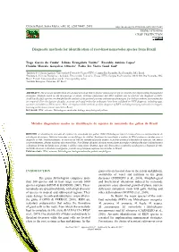 Diagnostic Methods for Identification of Root-Knot Nematodes Species from Brazil