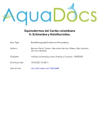 Echinoidea Y Holothuroidea